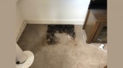 Butler Carpet Cleaning