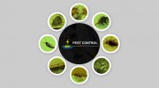 Pest Control Brassall