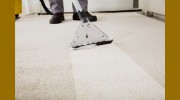 Carpet Cleaning Brisbane